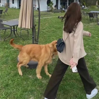 掉头即死